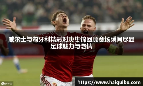 威尔士与匈牙利精彩对决集锦回顾赛场瞬间尽显足球魅力与激情